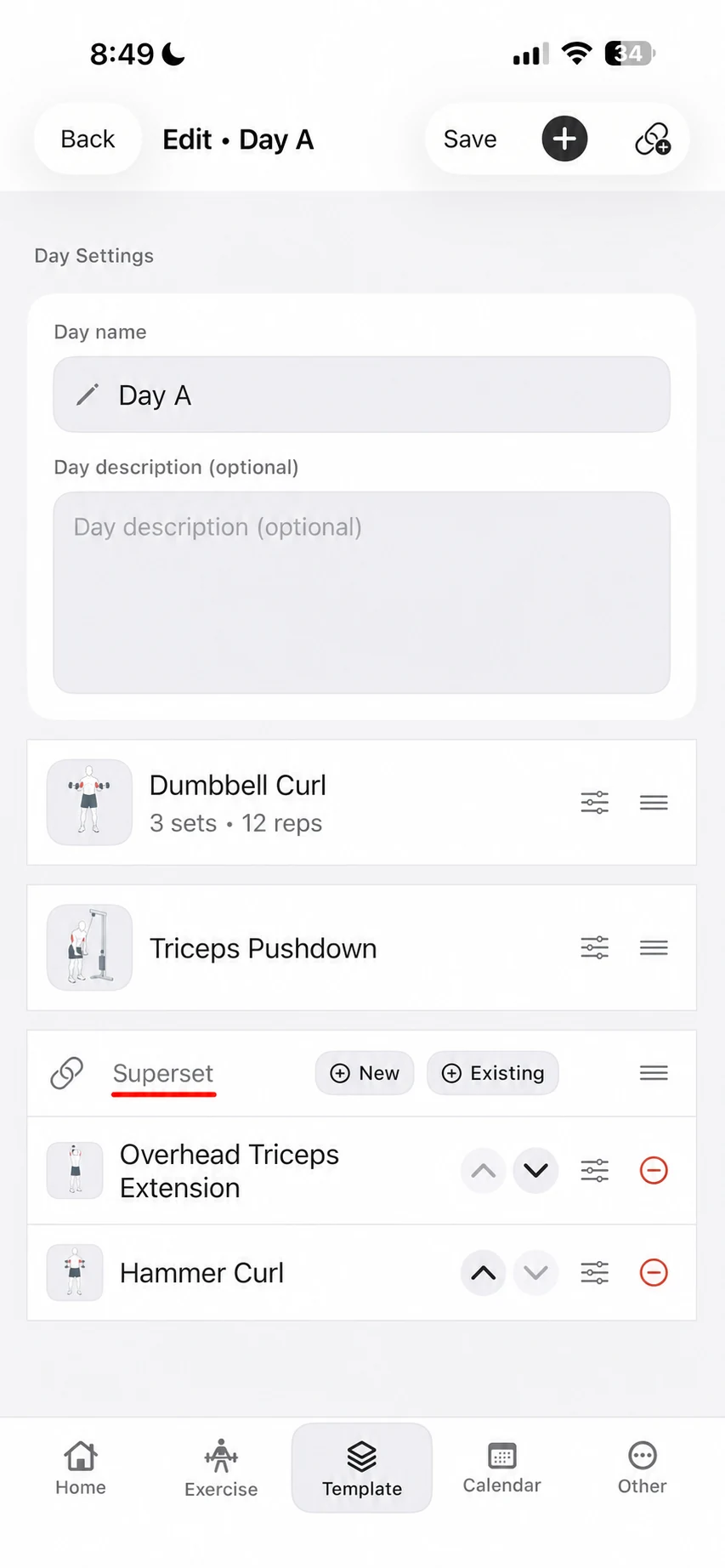 Day A editor showing a Superset group with Overhead Triceps Extension and Hammer Curl, plus New and Existing controls.
