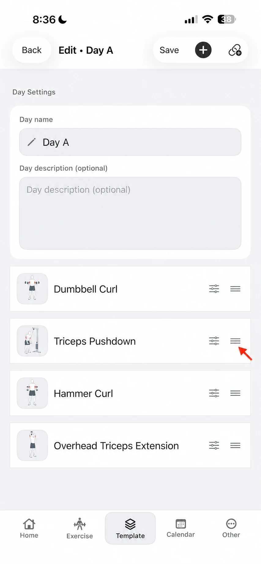 Day A template editor showing four exercises with drag handles for reordering.